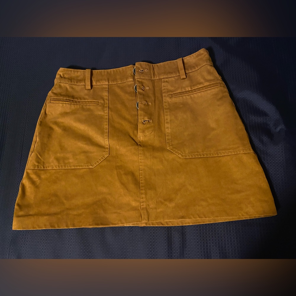 ZARA Skirt